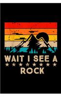 Wait I See A Rock