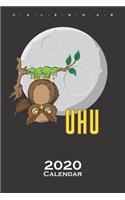 Owl sticked to tree in front of Moon Calendar 2020