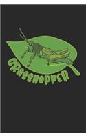 Grasshopper