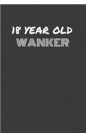 18 Year Old Wanker