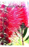 Beautiful Nature