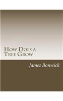 How Does a Tree Grow: (Readitnow)
