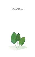 Sorrel Notes