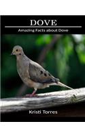 Amazing Facts about Dove