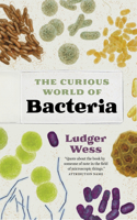 The Curious World of Bacteria
