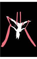 Aerial Silks Journal