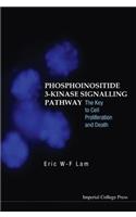 Phosphoinositide 3-Kinase Signalling Pathway: The Key to Cell Proliferation and Death