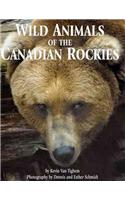 Wild Animals of the Canadian Rockies