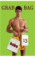 Grab Bag 13