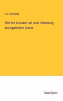 Über den Grünsand und seine Erläuterung des organischen Lebens