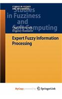 Expert Fuzzy Information Processing