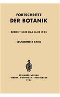 Bericht Über Das Jahr 1953