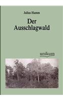 Ausschlagwald