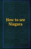 How to see Niagara