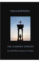 The Glimpsed Eternity