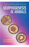 Morphogenesis in Animals