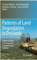 Patterns of Land Degradation in Drylands