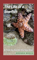 Life of a Starfish