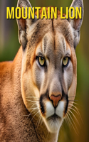 Mountain Lion: Fun and Amazing Pictures About Mountain Lion