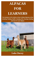 Alpacas for Learners