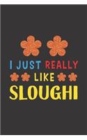 I Just Really Like Sloughi