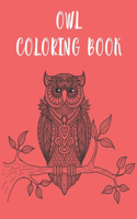 Owl Coloring Book