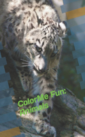 ColorMe Fun