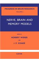 Nerve, Brain and Memory Models