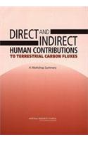 Direct and Indirect Human Contributions to Terrestrial Carbon Fluxes