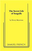 The Secret Life of Seagulls