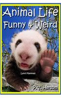 Animal Life Funny & Weird Land Mammals: Learn with Amazing Photos and Fun Facts About Animals and Land Mammals