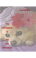 Adventures of Fifi the Chihuahua