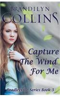 Capture The Wind For Me