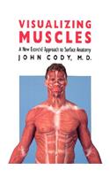 Visualizing Muscles