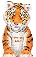 Little Tiger