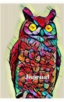 Cute Colorful Rainbow Prism Blue Teal Pink Owl Bird Lovers Pretty Blank Lined Journal for Daily Thoughts Notebook Diary for Women: (Modern Colored Bird Backyard Feeders Diary)