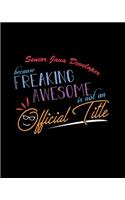 Senior Java Developer Because Freaking Awesome is not an Official Title