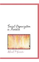 Social Organization in Parishes