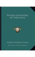 Winter Adventures of Three Boys