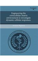 Engineering the Extracellular Matrix Environment to Investigate Dynamic Cellular Responses