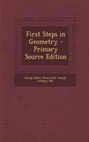 First Steps in Geometry - Primary Source Edition