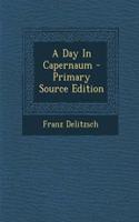 A Day in Capernaum