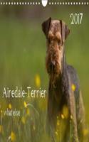 Airedale-Terrier What Else 2017