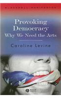 Provoking Democracy