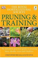 Rhs Pruning & Training