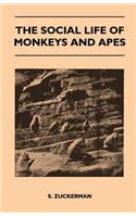Social Life of Monkeys and Apes