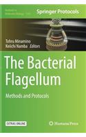 Bacterial Flagellum