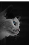 Mind Blowing Blue Eye Kitty Cat Journal