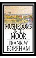 Mushrooms on the Moor