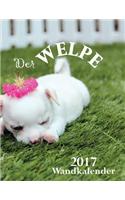 Der Welpe 2017 Wandkalender (Ausgabe Deutschland)